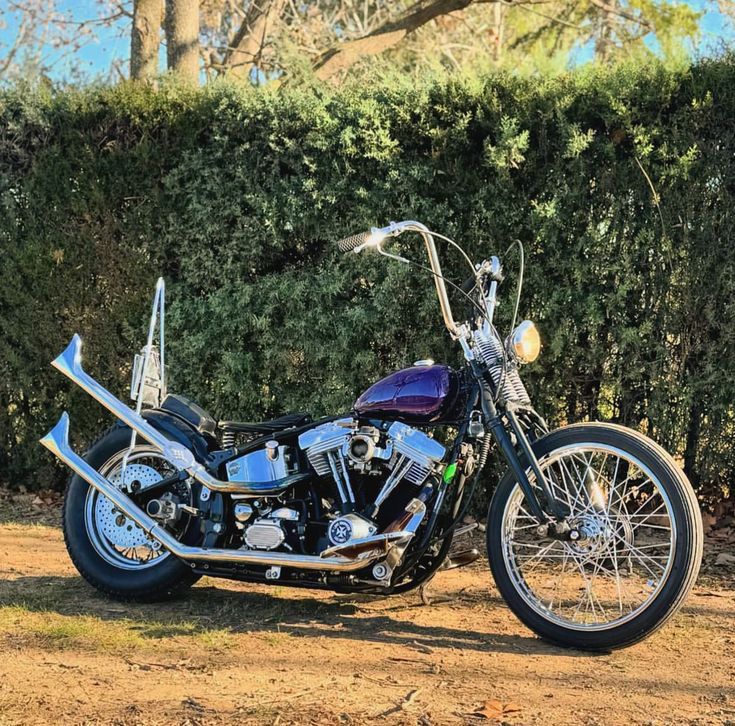 Universal Retro Fishtail Muffler